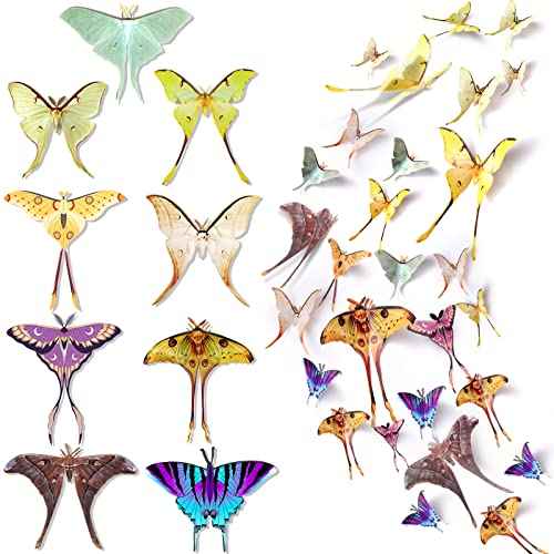 Rtteri 63 Pcs 3D Butterfly Moth Wall Decor Butterfly Wall Stickers Butterflies Decals Removable Double Sided Decal Reusable Mural Stickers Set Fairycore Moth for Party Wedding Room Christmas Decor