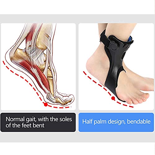 Drop Foot Brace Orthosis AFO AFOs Ankle Brace Support With Comfortable Inflatable Airbag for Hemiplegia Stroke Shoes Walking (Right foot, Medium)