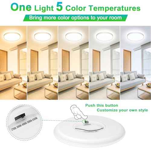 2-Pack 20W LED Flush Mount Ceiling Lights, 10 Inch 2600LM Ultra Thin Round Light Fixtures Ceiling Mount, 2700K/3000K/4000K/5000K/6500K 5CCT Selectable, Modern LED Lamps for Stairwell, Basement
