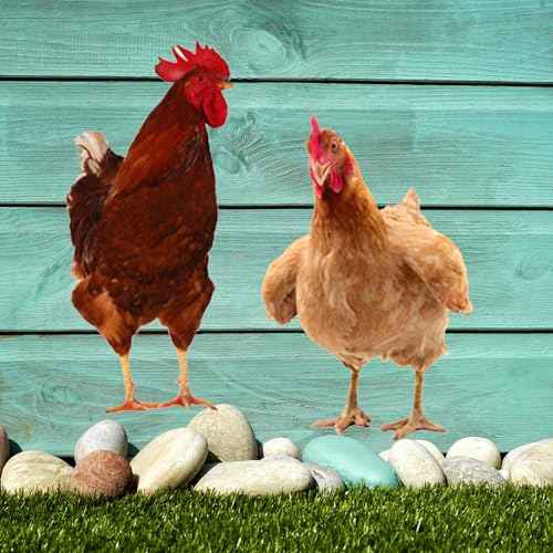Chicken Wall Stickers, Farmhouse Hen Rooster Wall Decals, Chicken Art Background Decorative Stickers for Kitchen Dining Room Refrigerator Door