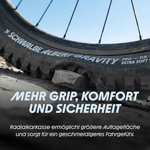 SCHWALBE Albert Tire - 29 x 2.50, Tubeless, Folding, Black, Evolution Line, Trail Pro, Addix Ultra Soft, Radial, E-50