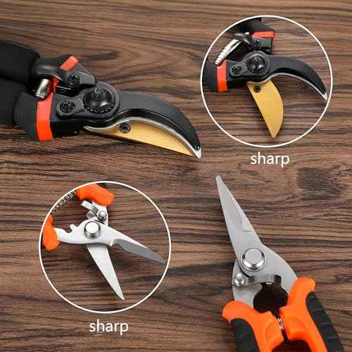 5 pack Garden Pruning Shears Stainless Steel Blades, Handheld Scissors Set with Gardening Gloves,Heavy Duty Garden Bypass Pruning Shears,Tree Trimmers Secateurs, Hand Pruner (Classic)