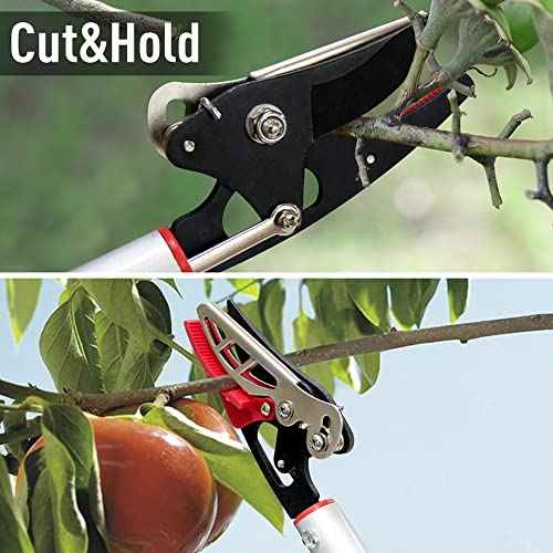Cut and Hold Pruner Set, Lightweight 32-Inch Long Reach Pruner One-Handed Operation, Hold Long Reach Cut Rotating, 8.3" Hand Pruner for Branch Pruning, Fruit Picking, Prickly Plants & Roses