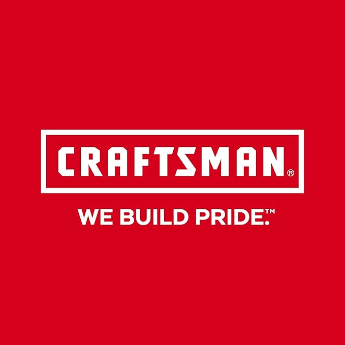 CRAFTSMAN Large Storage Organizer, 15 Compartments (CMST14027)