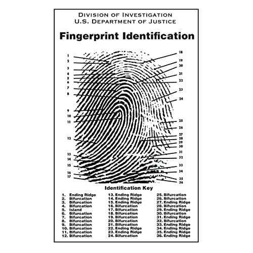 Crime Scene Fingerprint Chart, Poster Size 24" by 36"