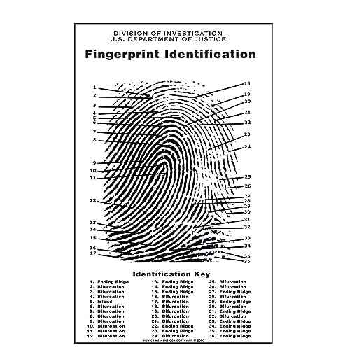 Crime Scene Fingerprint Chart, Poster Size 24" by 36"