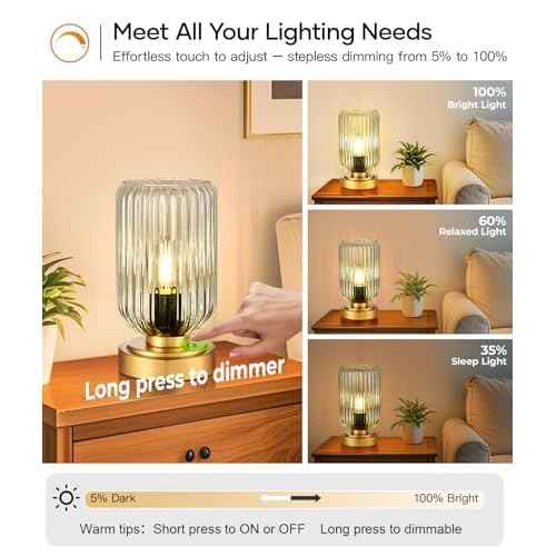 Touch Table Lamp for Nightstand - Small Bedside Lamps for Night Stands Bedroom Living Room, Dimmable Rechargeable Desk Lamp Battery Operated with Clear Glass Shade, Bulb Included