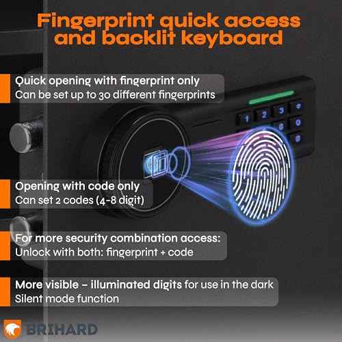 Family Biometric Safe 9.84"H x13.78"W x 9.84"D with Fireproof Bag, Fingerprint Safe Box 0.71Cubic Feet with Removable Shelf, Digital Safe for Home, Secure storage for Money, Documents A4