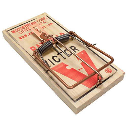 Victor" Metal Padded Rat Trap (Pack of 12)