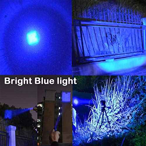 Multicolored 3-Mode Flashlight: Red, Green, Blue, UV & White LED Lights (Pack of 5)