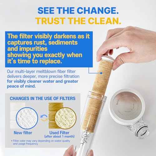 Filter Showerhead Inspired By Korea's Beauty Culture | Carbon Composite Filter | Single Set (Hose, Mount, Teflon Tape, Wrench) (AJ8200MC-SET-SNG)