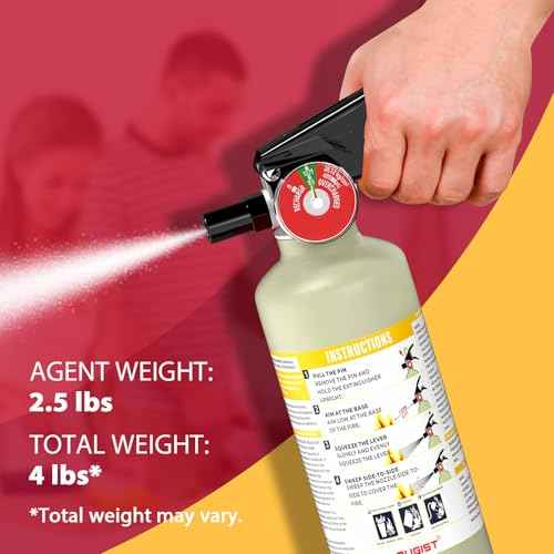Ougist ABC Dry Powder Fire Extinguisher, 2.5lb ? 1-A:10-B£ºC Rated for Home, Office & Vehicle, Quick Release, Easy-Grip Handle, Ideal for Electrical & Grease Fires, Car Extinguisher, Model FF1KG