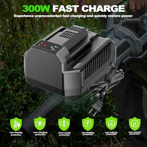 Rapid Faster Charger Replacement for EGO 56V Battery Charger CH2100,Compatible with EGO 56V Power+ Batttery BA1400 BA2800 BA4200 BA5600