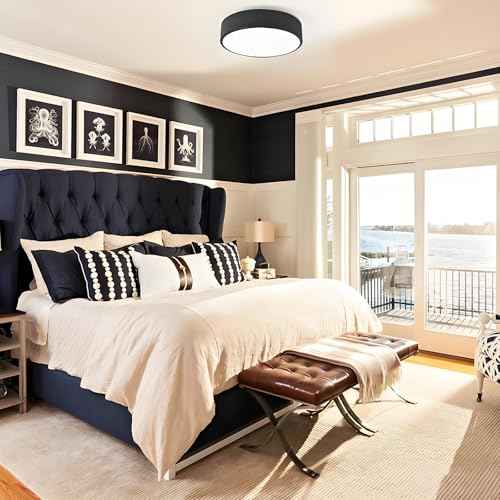 Modern Black Flush Mount Ceiling Light, 2-Lights Round Ceiling Light, Minimalistic Ceiling Lamp Acrylic Shade Lighting Fixture for Bedroom Laundry Room Bathroom Hallway(11.8 Inch)