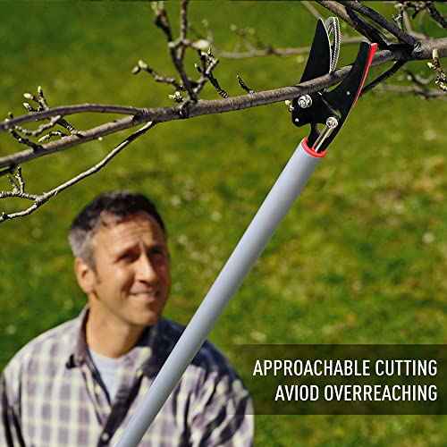 Cut and Hold Pruner Set, Lightweight 32-Inch Long Reach Pruner One-Handed Operation, Hold Long Reach Cut Rotating, 8.3" Hand Pruner for Branch Pruning, Fruit Picking, Prickly Plants & Roses