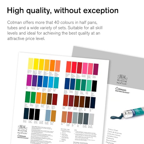 Winsor & Newton Cotman Watercolor Paint, 21ml (0.71-oz), Pewter