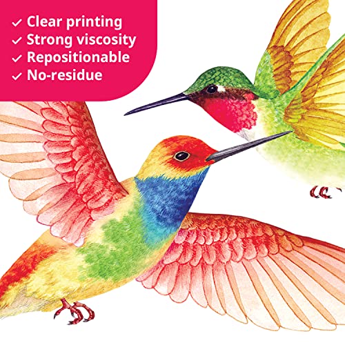 BASHOM DS2-4002 Hummingbirds Wall Stickers Decals Kids Peel and Stick Removable for Nursery Bedroom Living Room Art murals Decorations Vinyl Spring Flying