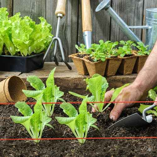 Mason Line String Line,300 Ft Length Nylon Twine,18 Braided Nylon String for Gardening Or Masonry Tools,Twine String for Gardening,Pink