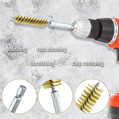 6 Pcs Brass Bore Brush Set with 1/4" Hex Shank Twisted Wire Bristles, Different Sizes (8, 10, 12, 15, 17, 19mm) for Bearing, Rust, Tube Cleaning
