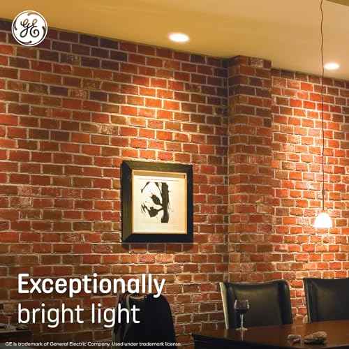 GE Ultra Bright LED Light Bulbs, 100 Watt Equivalent, Daylight, Ceiling Fan Clear A15 Bulbs (8 Pack)
