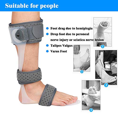 AFO Drop Foot Brace Medical Ankle Foot Orthosis Support Foot Drop Postural Correction Brace (Left/XL)