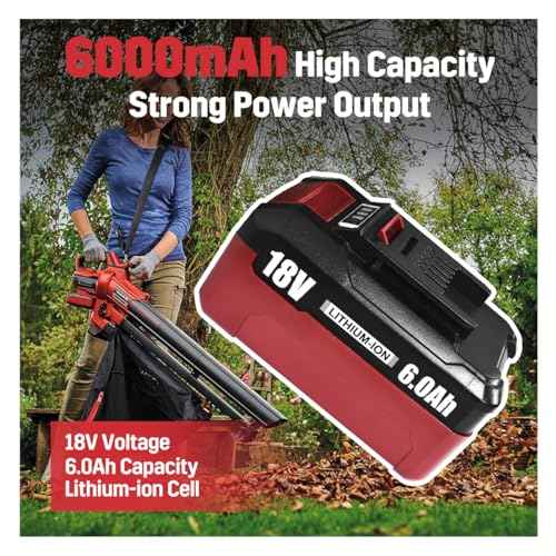 2-Pack 18V 6Ah Battery Pack Compatible with Einhell Tools X-Change 4511396 4511437 Cordless Power Tools