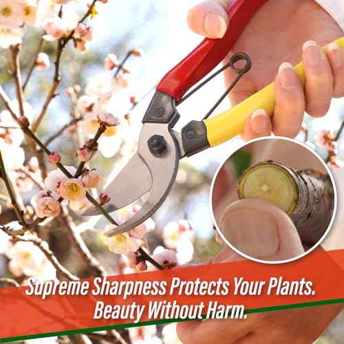 SUIZAN Bypass Pruning Shears 8¡± - Professional Japanese Hand Pruners Garden Scissors Gardening Tools