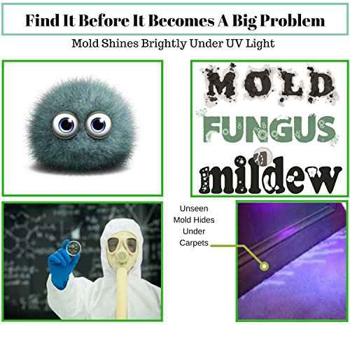 Powerful LED Ultraviolet Black Light Flashlight, Detects Bed Bugs, Insects, Scorpions, Diamonds, Automotive Leaks, Pet Stains, Toxic Mold. Great for Campers, Night Fishing.