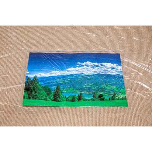 10-Pack Clear Vinyl Zippered Storage Bags 12 x 15 x 4 Inch