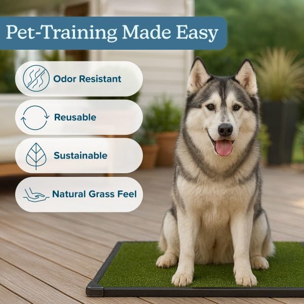 Dog Grass Pad with Tray - 35.5x23.5in Reusable Pee Pads for Dogs - 4-Layer Indoor/Outdoor Artificial Grass Pee Pad - Dog Housebreaking Supplies for Puppy Training by PETMAKER