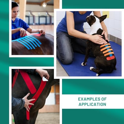 VETKIN VetkinTape® Veterinary Kinesiology Tape Blue | Kinesiology Tape for Horses & Dogs | Equine & Canine Kinesiotape | Latex Free and Quality Mark Certified Ktape | 4 inch | Pack of 1 Roll