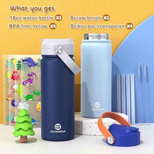 GoKEDA 18oz Kids Water Bottle, 2 Pack Insulated Bottles with Stickers, 18/8 Stainless Steel Vacuum Leak Proof Straw Cup for School, Gifts for Boys(Light Blue, Dark Blue)