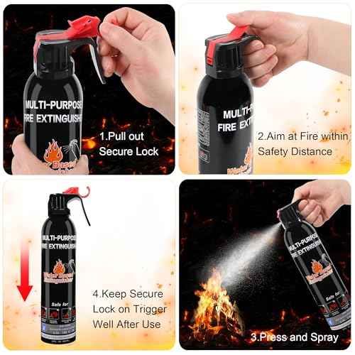 Fire Extinguisher for Home, 6 Pack Vehicle Fire Extinguishers with Mount, Portable Fire Extinguisher Effective on A, B, C, K Fires, Water-Based Extinguisher for Car Boat Office Truck Kitchen Garage RV