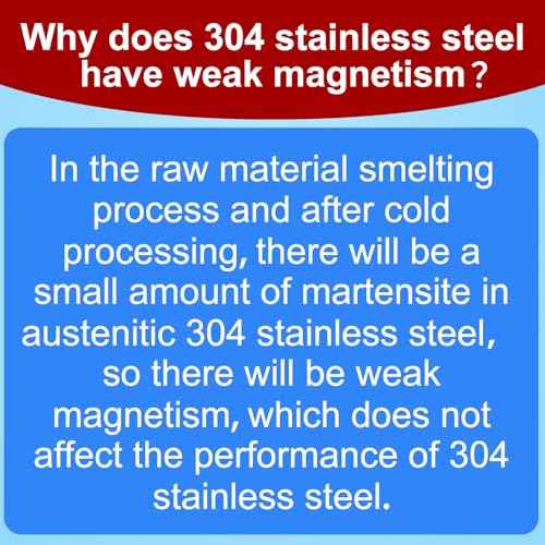 16 Gauge Angled Finish Nails 304 Stainless Steel, (1-1/4", 1-1/2", 2", 2-1/2"), 20-Degree,Assorted Size Project Pack for Pneumatic, Electric Finish Nailer or Nail Gun (2 inch)