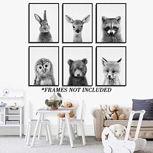 EPHANY Black and White Wall Art, Baby Animal Posters and Prints, Safari Bunny Prints, Nursery Bear Wall Art, Owl Print Wall Art Nordic Picture Kids Room Decoration (YMX017,8"x10"(20x25cm))