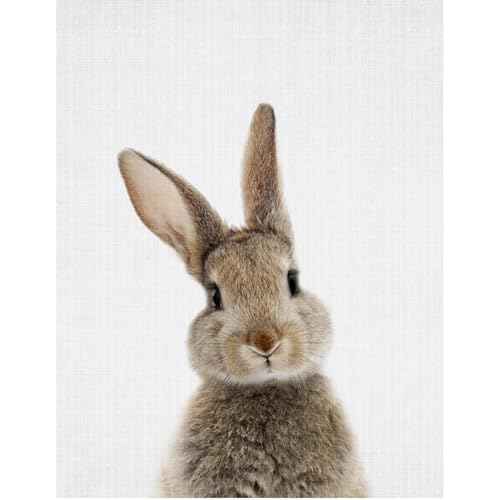 Canvas Bunny Wall Art Nursery Decor,Bunny Rabbit Pictures Wall Decor for Nursery, Rabbit Wall Art Decor,Bunny Prints Wall Art Decor Neutral for Baby Nursery Girls Boys,11" X 14",UNFRAMED
