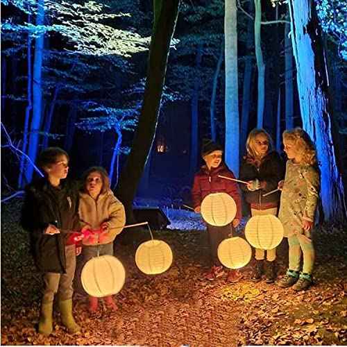 Paper Lantern Lights Battery Operated Remote Hanging Led Lanterns Light with Hook Super Bright RGB White Warm White 15 Days Standby, 36 hours Constant On for Lantern Tent Lighting(10 lights+2 remotes)