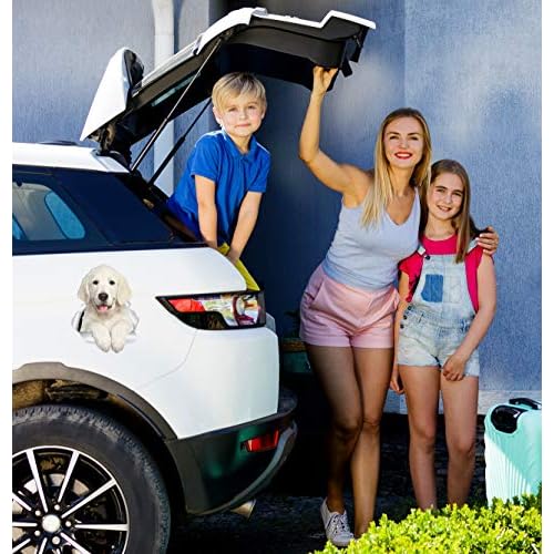 Winston & Bear Gorgeous Golden Retriever Dog Wall Decals - 2 Pack - 3D Sticker Decals for Walls, Cars, Toilet and More - Retail Packaged Golden Retriever Gifts