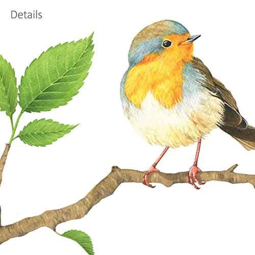 DECOWALL DS4-8036 Garden Birds Kids Wall Stickers Wall Decals Peel and Stick Removable Wall Stickers for Kids Nursery Bedroom Living Room (Small) Decor