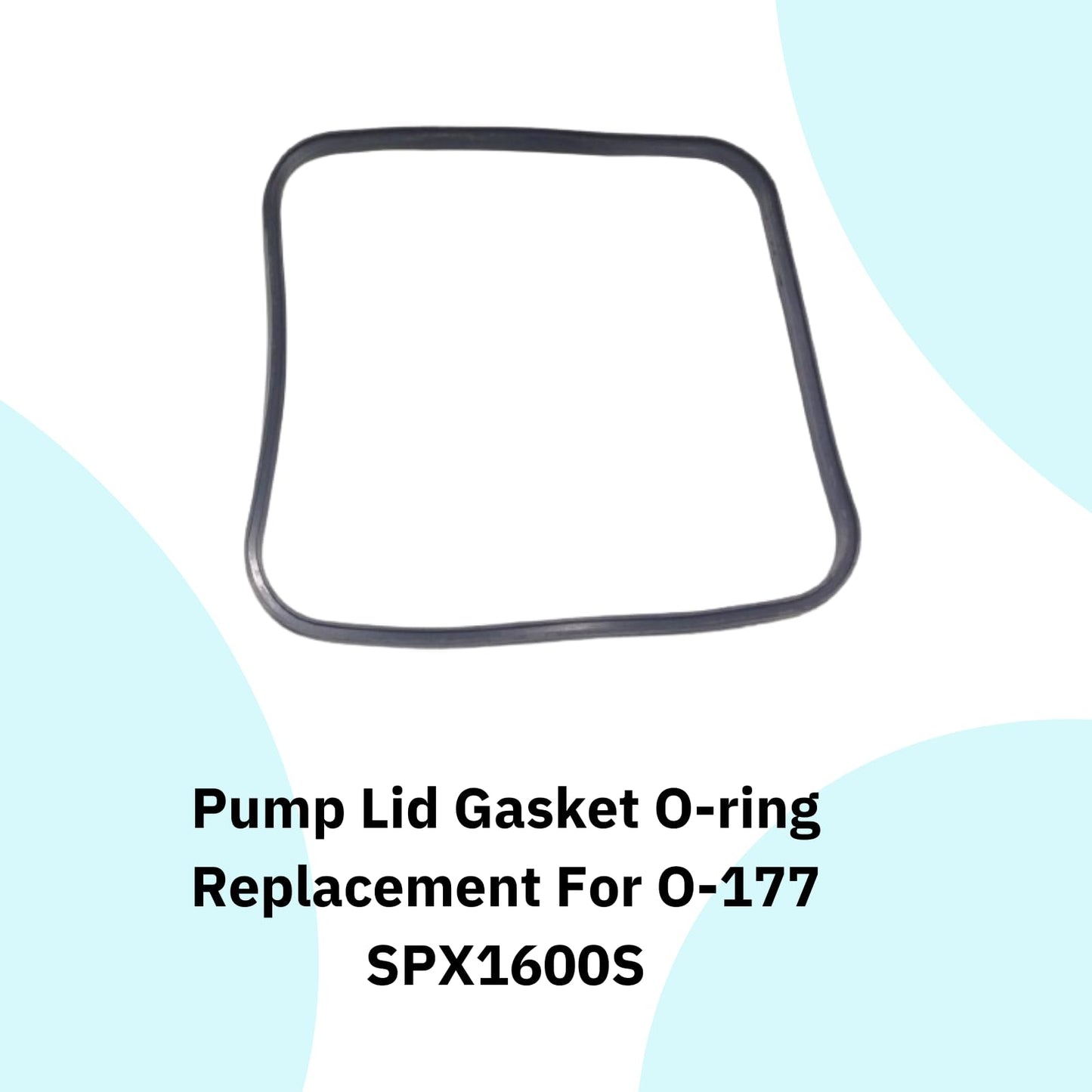 Southeastern Pool Pump Gasket Seal O-Ring Repair Kit for Hayward® Super Pump SP2600, 1600, 2600X Kit 3 - Hayward® Pool Pump Accessories - Pool Pump Maintenance Kit