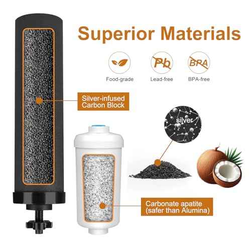 Water Filter Replacement for Berkey¢ç, 2 Black Carbon Filters and 2 Fluoride Filters Compatible with Berkey¢ç Gravity Water Filter System