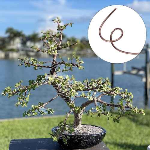 98 Feet Brown Anodized Aluminum Bonsai Training Wire, 4.0mm Anodized Aluminum Wire, 98 Feet Bonsai Plant Wire, Professional Grade Bonsai Training Wire for Crafts, Sculpting, Home Decoration