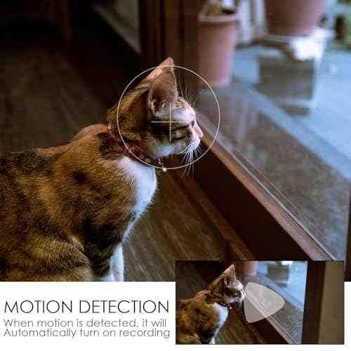 Pelay Picture Frame Camera HD 1080P Dome Cameras, No WiFi Nanny Cam for Dog Monitor, Home Security with Motion Detection, No Audio