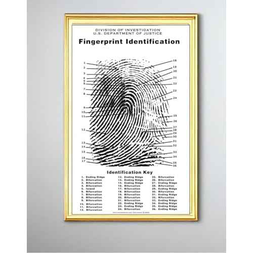 Crime Scene Fingerprint Chart, Poster Size 24" by 36"
