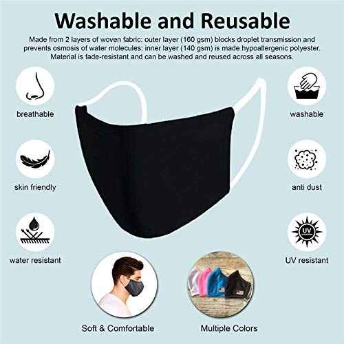 Primeware Protective Reusable Face Mask 2 Layers Cloth Mask (Pack of 2) (Ornate Floral)