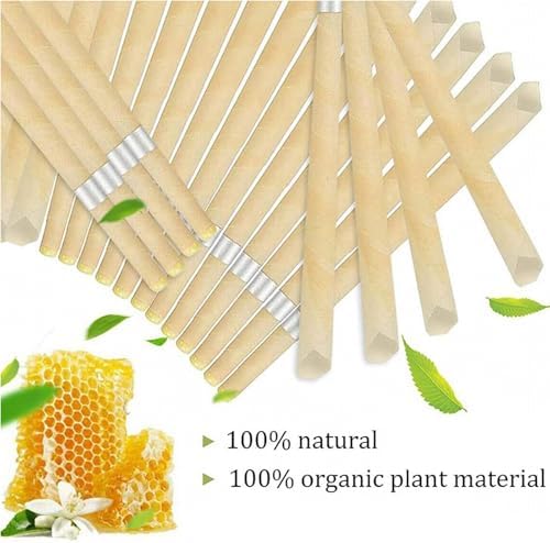 10-Piece Ear Wax Removal Kit – Stainless Steel Ear Pick Set with Cotton Swabs, Travel Ear Cleaning Tool for Family Use, Portable Earwax Remover Kit for Home and On-the-Go