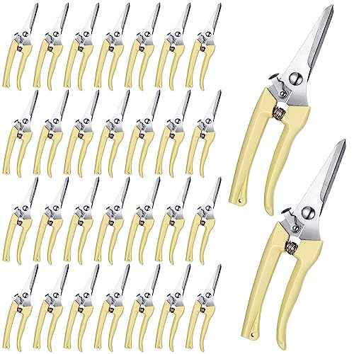 Chumia 30 Pcs Garden Flower Shears Pruning Scissors Heavy Duty Plant Scissors Trimming Garden Clippers Hand Tree Pruner for Yard Gardening Plants Hedge Flower Tree Cutting Secateurs (Beige)