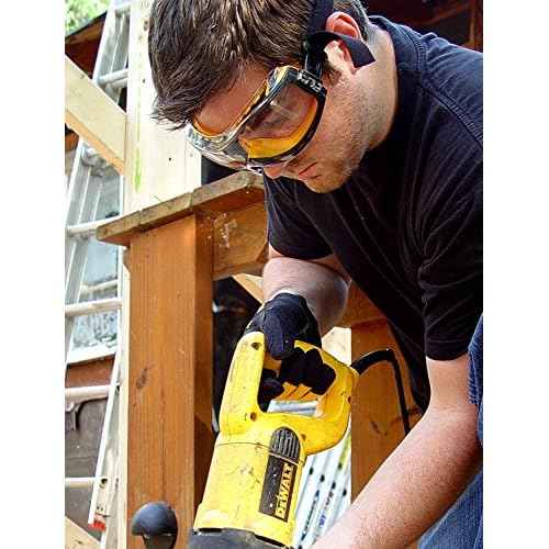 DEWALT DPG82-11 Concealer Clear Anti-Fog Dual Mold Safety Goggle,ZNKJxm 2 Pack (1 Count Clear Lens)