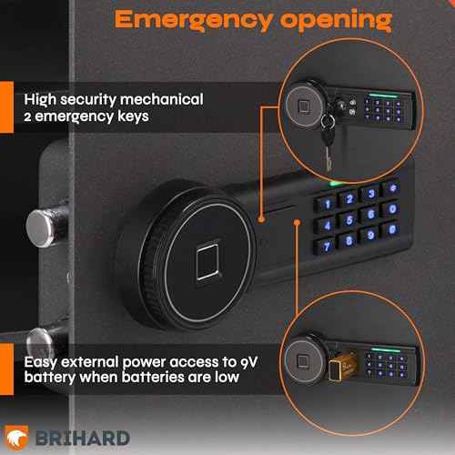 Family Biometric Safe 9.84"H x13.78"W x 9.84"D with Fireproof Bag, Fingerprint Safe Box 0.71Cubic Feet with Removable Shelf, Digital Safe for Home, Secure storage for Money, Documents A4