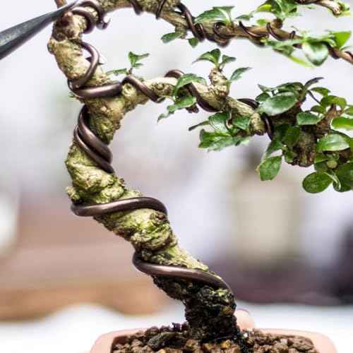 PATIKIL 6mm x 10.5ft Bonsai Training Wire, Aluminum Floral Wire Stems for Gardening, Brown